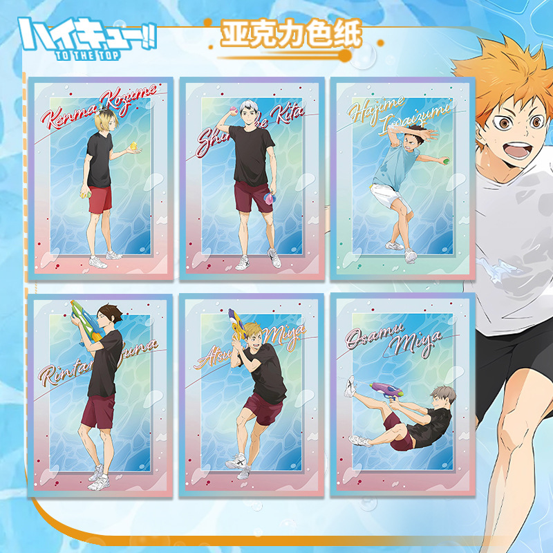 Haikyuu Volleyball Anime Acryl - đánh giá và giá Anime Merchandise Haikyuu
