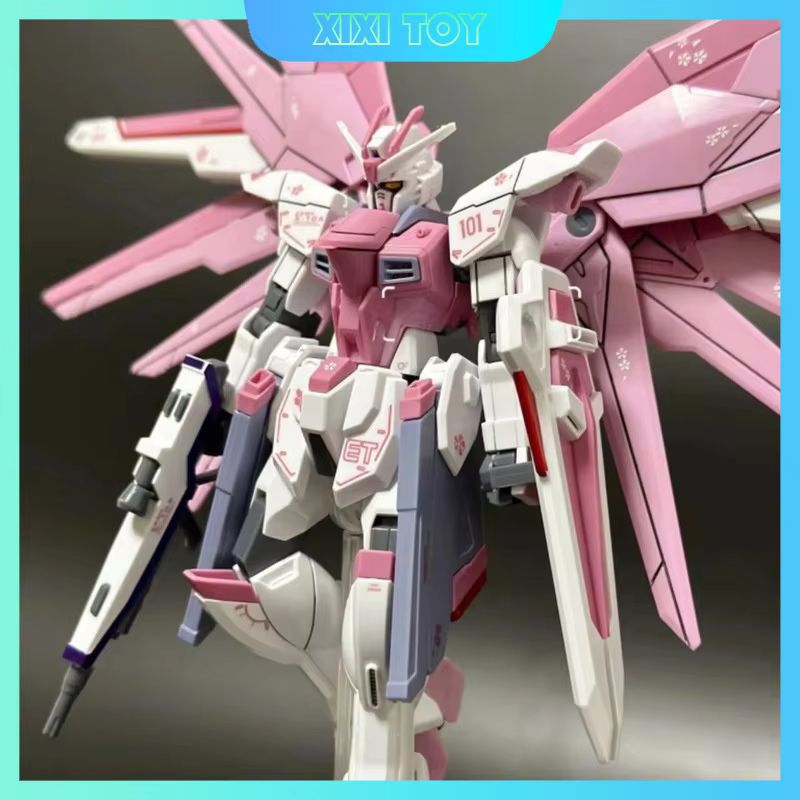 JMS HG 1/144 ZY-06 Freedom Ass - đánh giá và giá Bandai Gundam Rg