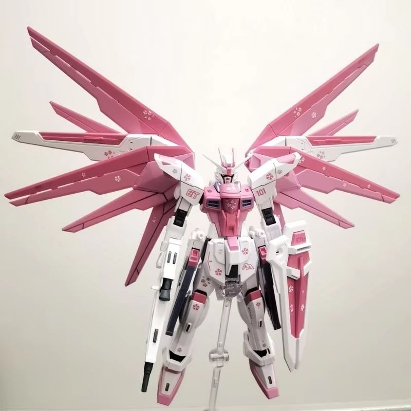 JMS HG 1/144 ZY-06 Freedom Ass - đánh giá và giá Bandai Gundam Rg