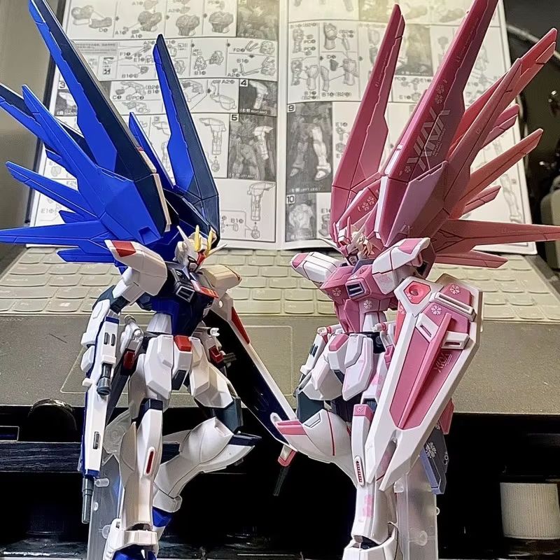 JMS HG 1/144 ZY-06 Freedom Ass - đánh giá và giá Bandai Gundam Rg