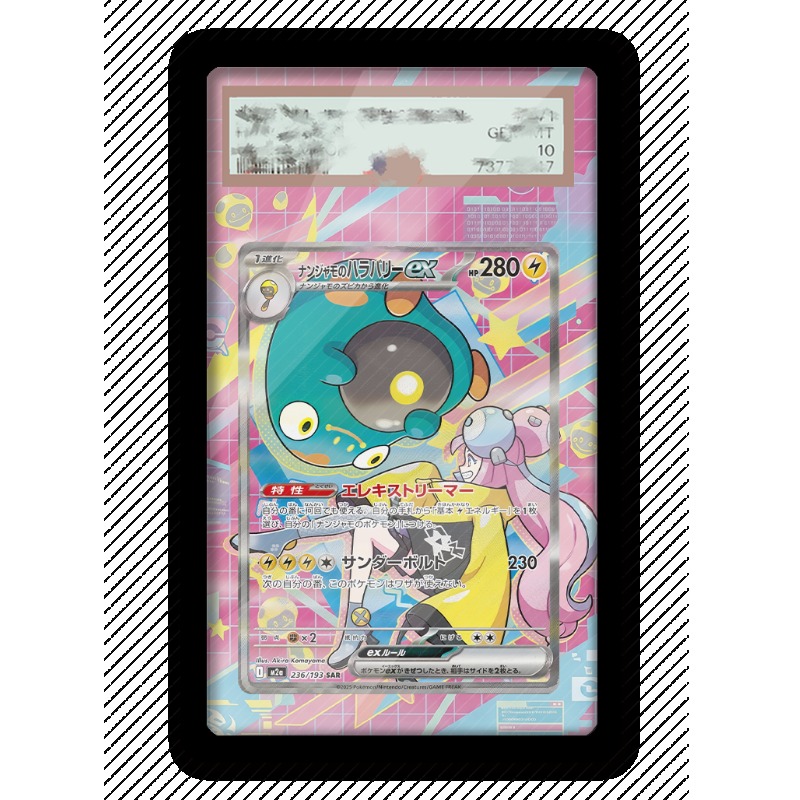 Art Display for Pokemon Bellib - đánh giá và giá Anime Merchandise From Japan
